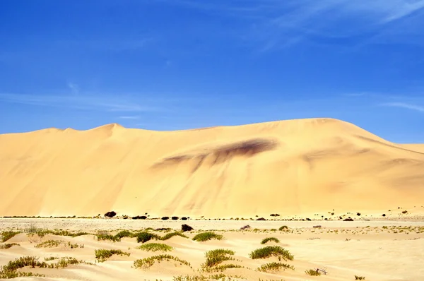 Sand dunes — Stock Photo, Image