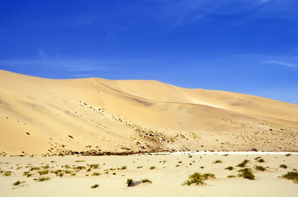 Sand dunes — Stock Photo, Image