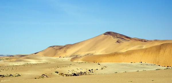 Sand dunes — Stock Photo, Image