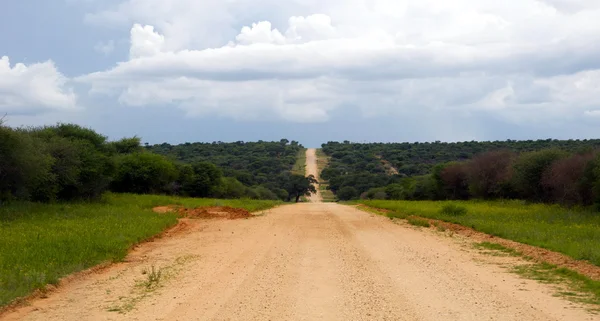 Estrada de cascalho em Namíbia — Fotografia de Stock