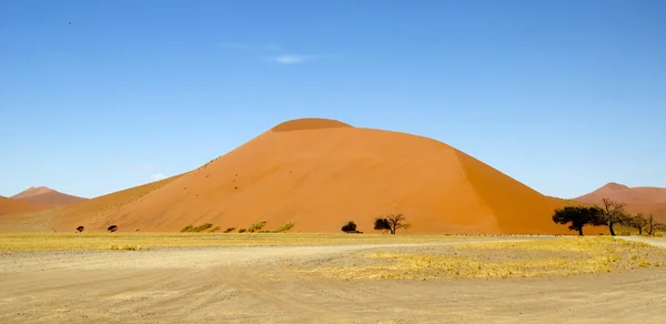 Sanddyner — Stockfoto