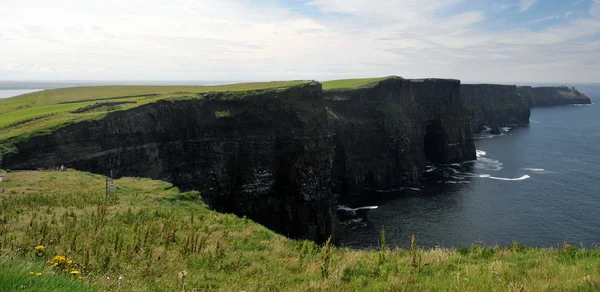 Cliffs of Moher — Stock Photo, Image