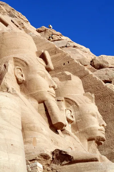 아 부심 벨, 이집트에서 왕 람 세스의 사원 Ii — 스톡 사진
