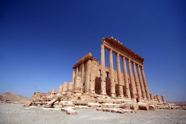 Palmyira