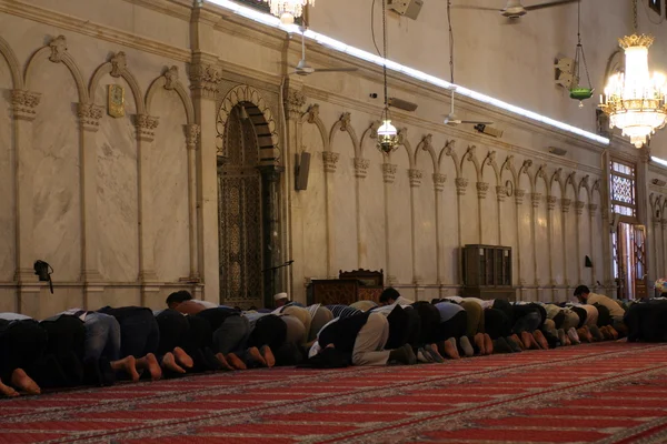 Oración islámica — Foto de Stock