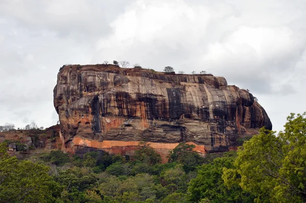 Leeuw van de burcht op Sigiriya rots Fort in sri lanka — Stockfoto