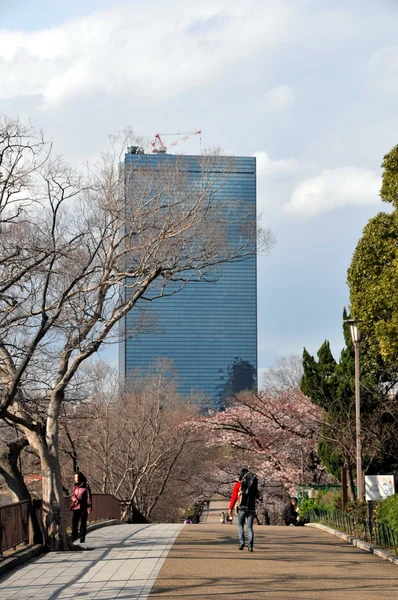 Kilátás nyílik a modern osaka city-től a régi kastély Osaka, Japán — Stock Fotó