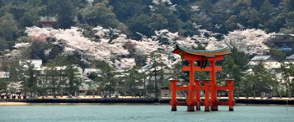 Torii poort op miyajima, hiroshima - japan — Stockfoto