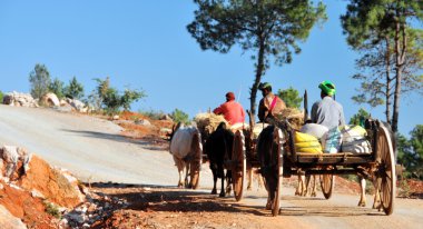 kalaw peyzaj, myanmar.