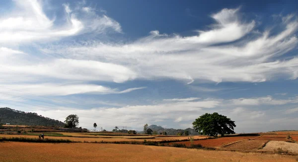 Paisaje de Kalaw, Myanmar . — Foto de Stock