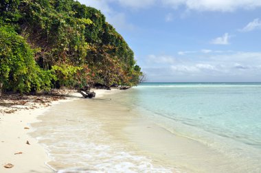 tropikal plaj manzara