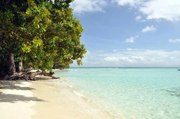 Tropische Strandlandschaft — Stockfoto