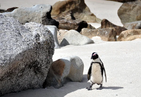 Keien strand — Stockfoto