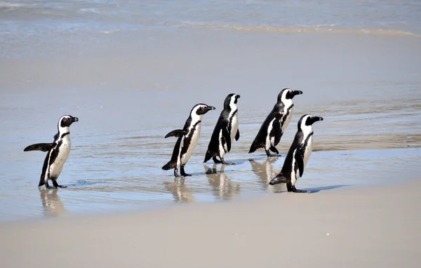 Keien strand — Stockfoto