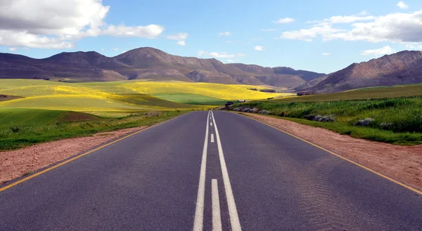 Сельская дорога в ЮАР . — стоковое фото