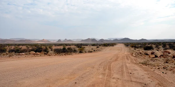 Namibische Wüste und Prärie. — Stockfoto