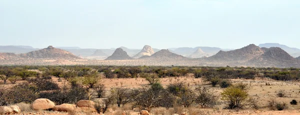 Deserto e pradaria da Namíbia . — Fotografia de Stock