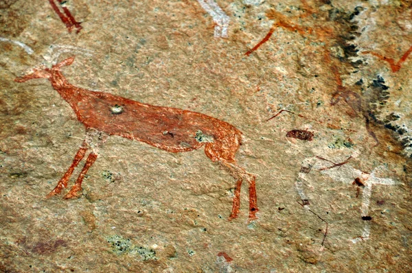 Bushmen rock painting — Stock Photo, Image