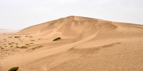 Namibian Desert and Prairie. — Stock Photo, Image