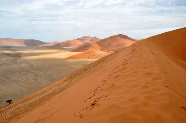 Sossusvlei — Fotografia de Stock