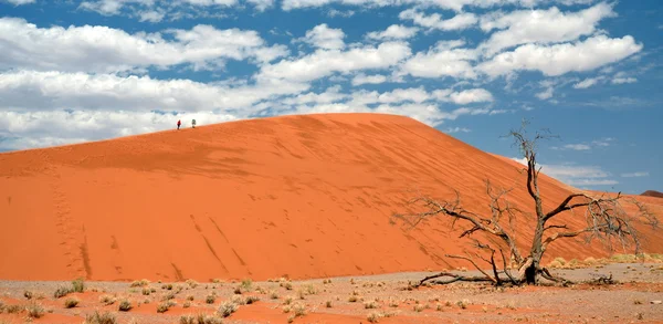 Sossusvlei — Fotografia de Stock