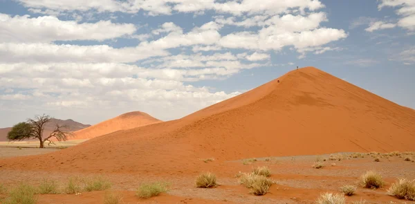 Sossusvlei — Fotografia de Stock