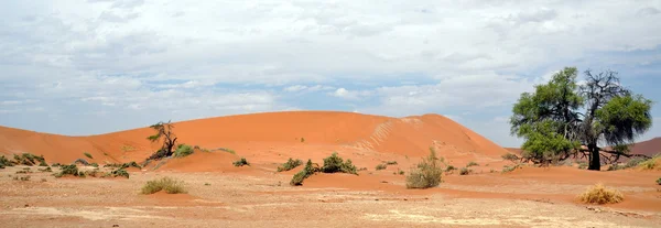 Sossusvlei — Fotografia de Stock