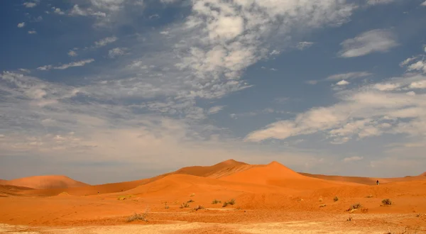 Sossusvlei — Stok fotoğraf