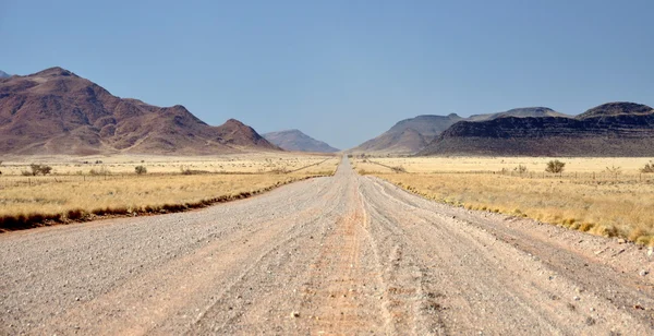 Désert et prairie namibiens . — Photo