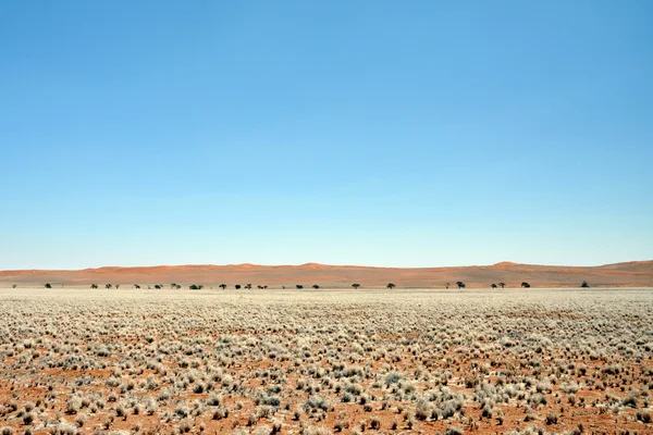 Namibie pouště a prérie. — Stock fotografie