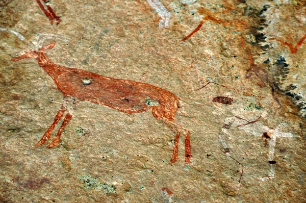 Pintura rupestre de bosquimanos Imágenes de stock libres de derechos