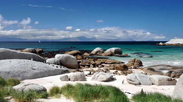 Boulders beach naturreservat — Stockfoto