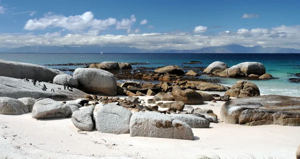 Boulders Beach Riserva Naturale — Foto Stock