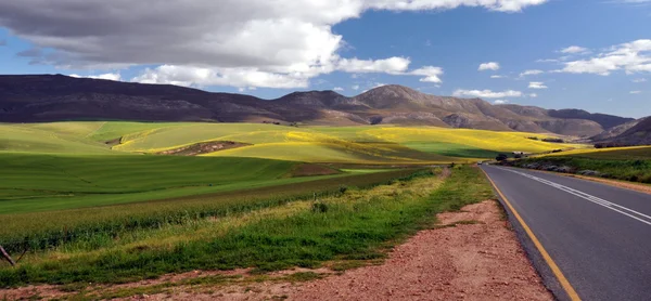 Camino a través de tierras agrícolas — Foto de Stock