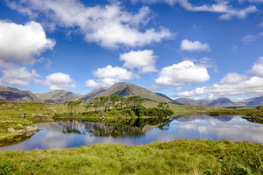 Connemara Landscape