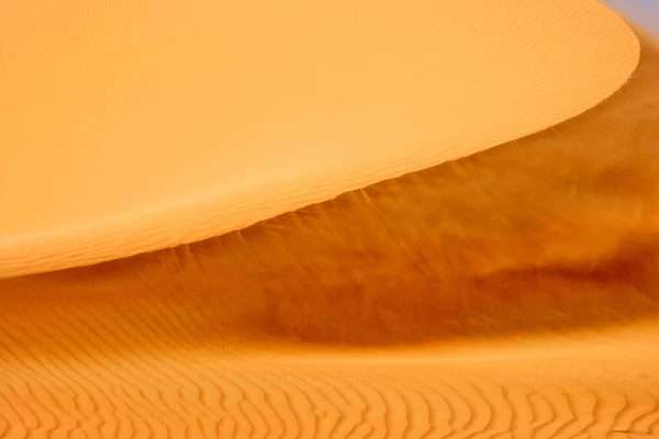 Wind on Dune — Stock Photo, Image