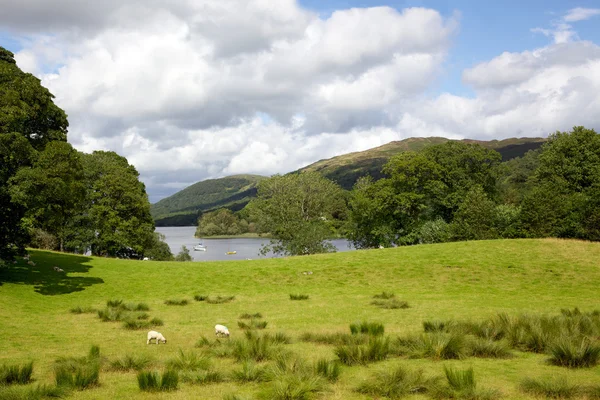 Coniston Vatten — Stockfoto