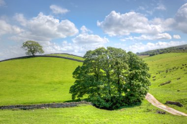 Yorkshire Dales