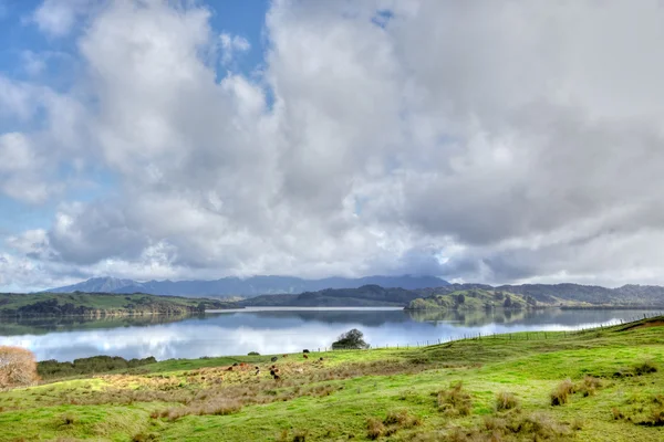 Hokianga hamnen — Stockfoto