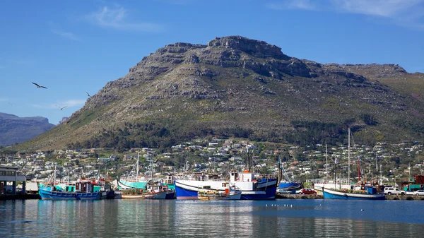 Hout Bay Harbour — Stock Photo, Image
