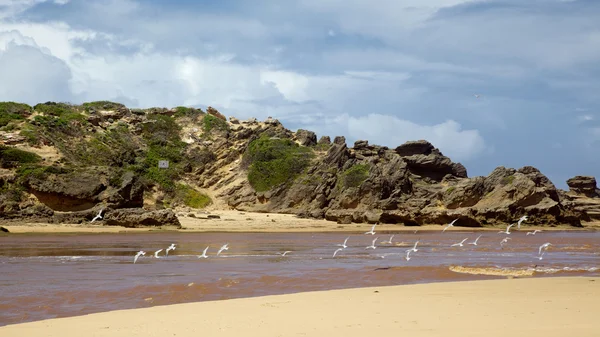 Bouche de la rivière Bushman — Photo