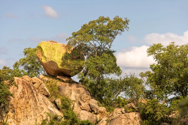 克鲁格公园巨石 — 图库照片