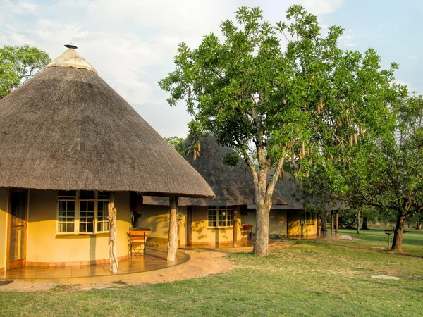 Pretoriuskop övriga camp — Stockfoto