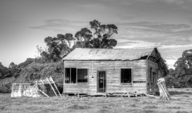 Abandoned Farmhouse