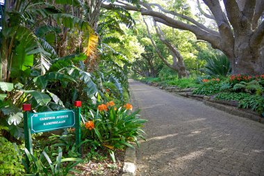 KIRSTENBOSCH