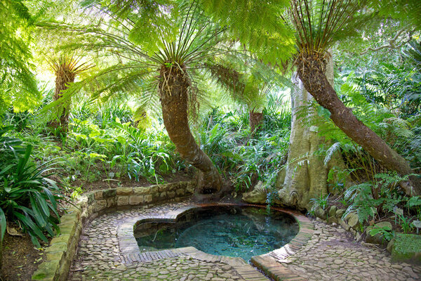 Colonel Bird 's Bath
