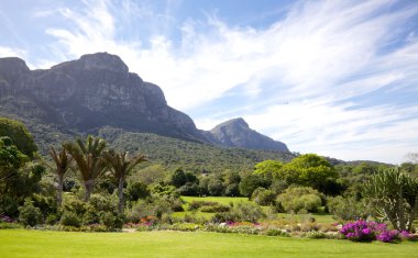 KIRSTENBOSCH bahçeleri