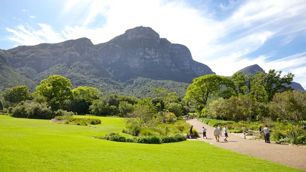 KIRSTENBOSCH bahçeleri — Stok fotoğraf