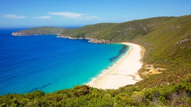 Shelley beach