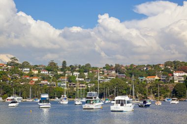 Orta harbour, sydney